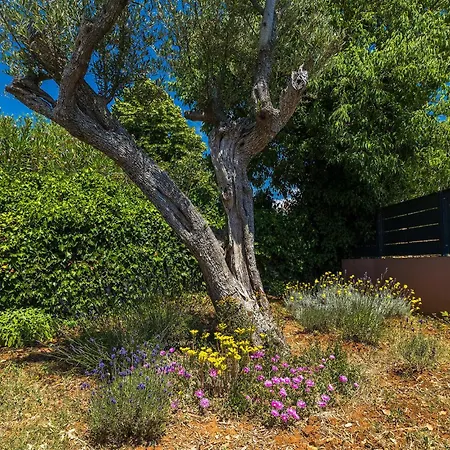 Martulin Tatil Evi Pula