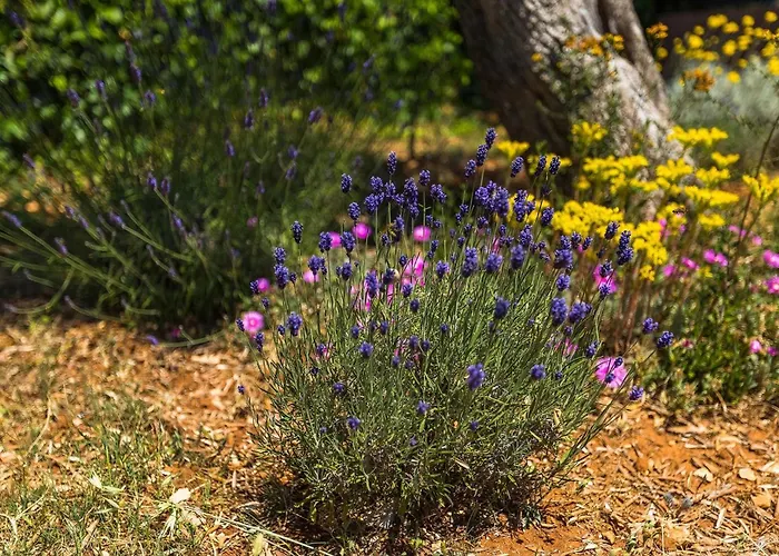 Martulin Дом отдыха