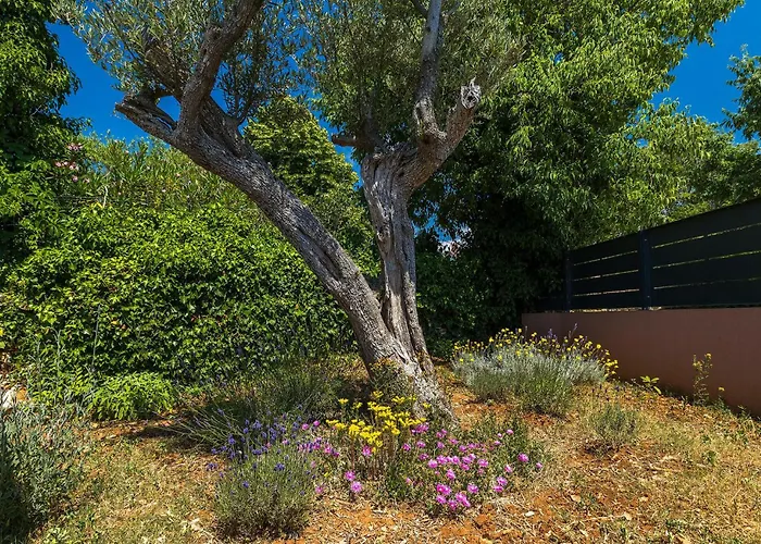 Martulin Дом отдыха Пула