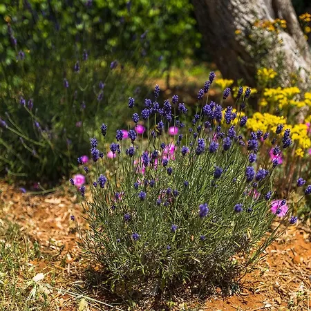 Martulin Casa vacanze